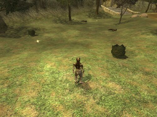 Figure 3 - Cleaned Area