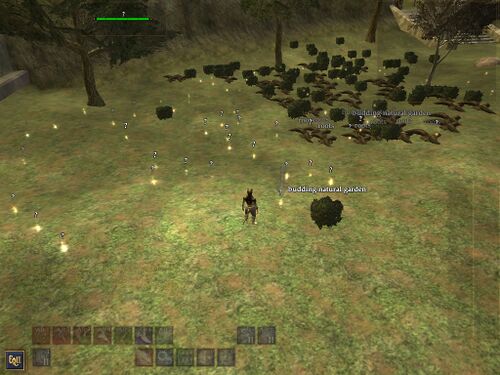 Figure 2 - Partially Cleaned Area