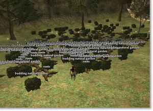 Figure 1 - the RAW Data